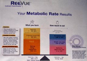 basal metabolic rate